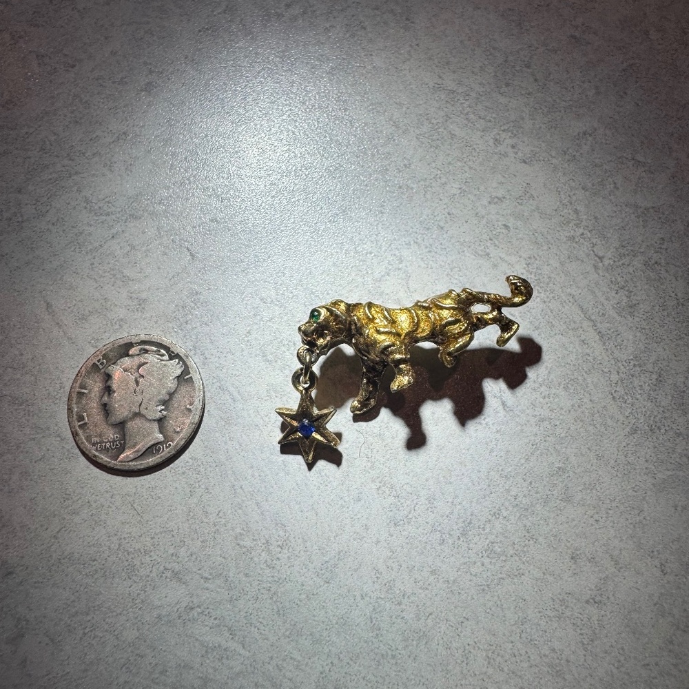 Vintage Gold tone tiger pin with six pointed star ⭐️